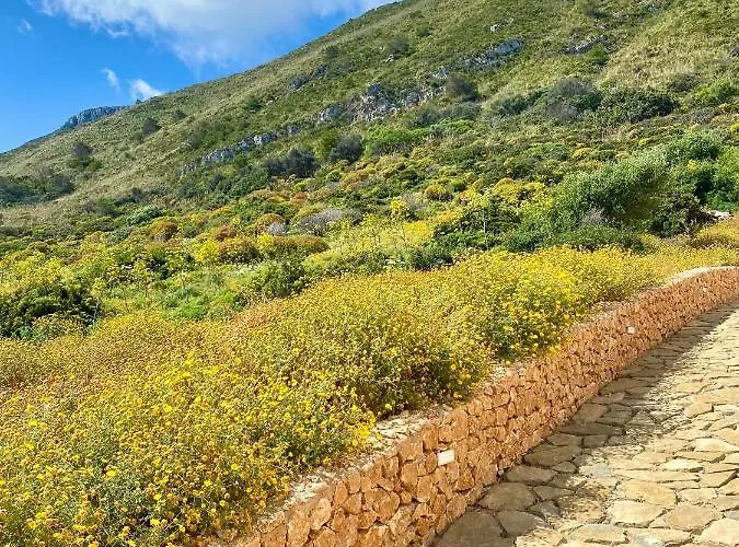 Bilocale Punta Basano 马里迪莫